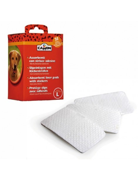 Absorbent liner pads with stickers