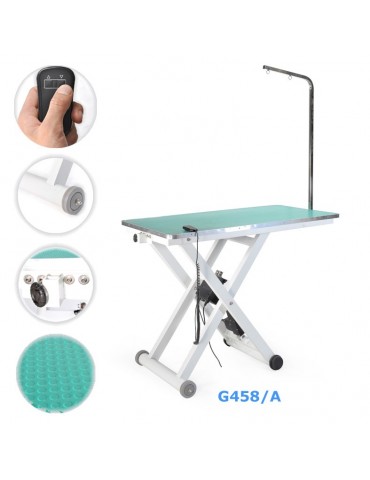 Professional Electric adjustable grooming table