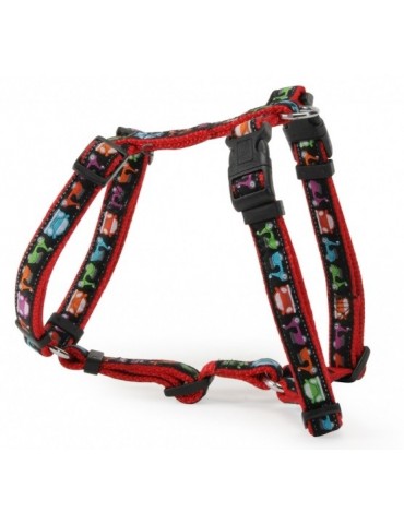 “Car&Scooter” harness with double buckle
