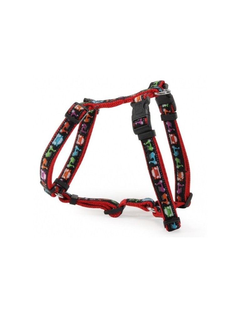 “Car&Scooter” harness with double buckle