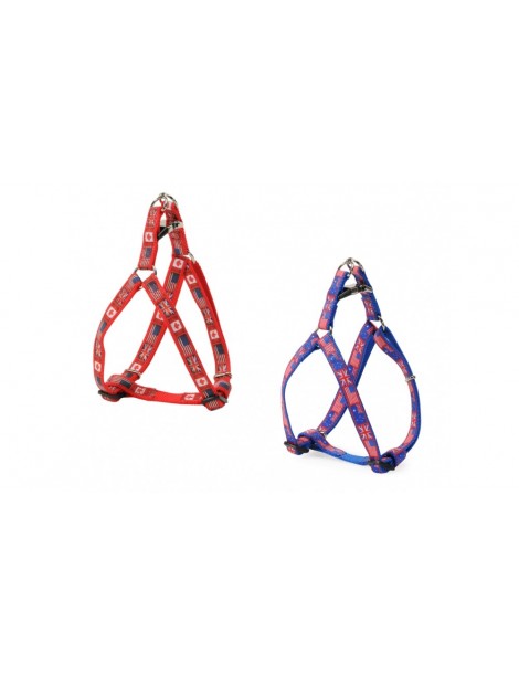 “Flags” adjustable harness