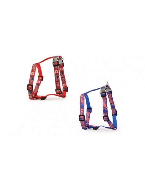 “Flags” harness with double buckle