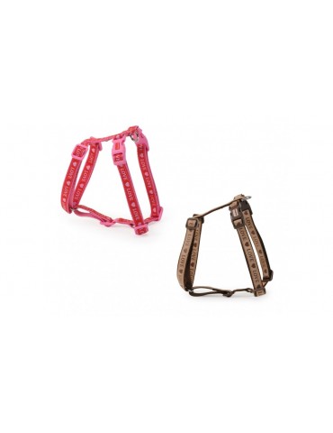 “Love” harness with double buckle