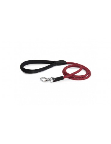 Conduction Leash For Dogs