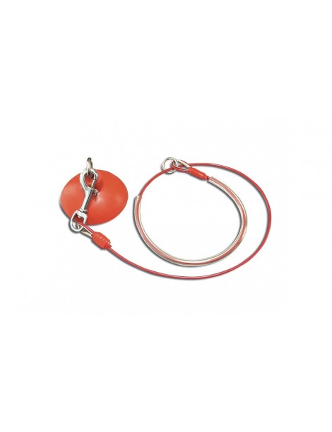 Professional Steel And PVC Leash