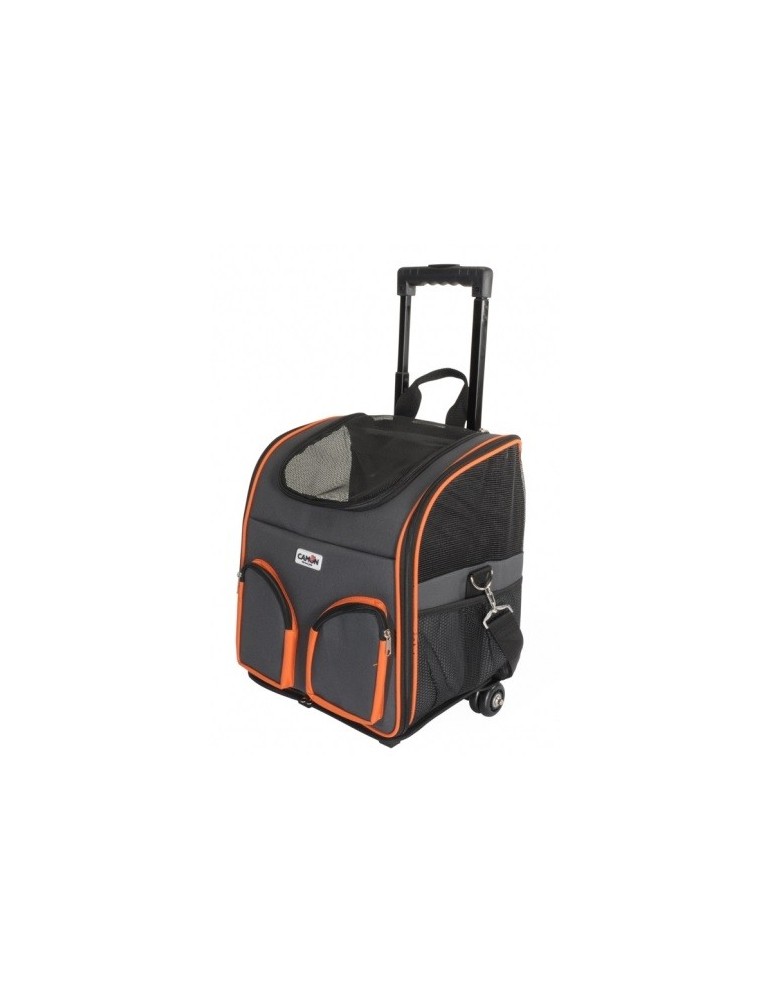 Pet carrier with two front pockets