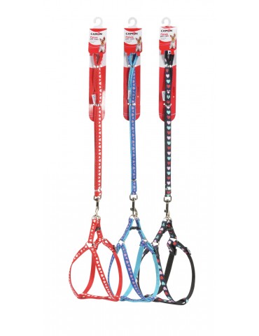 Harness and leash for dogs...
