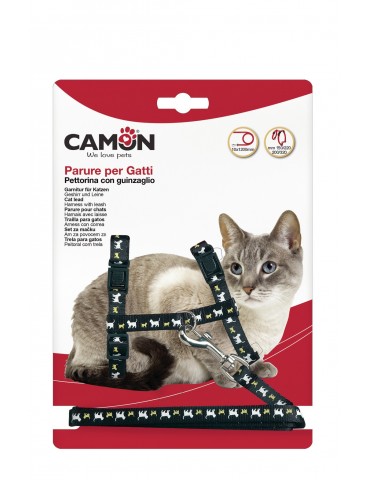 Set of harness and leash...