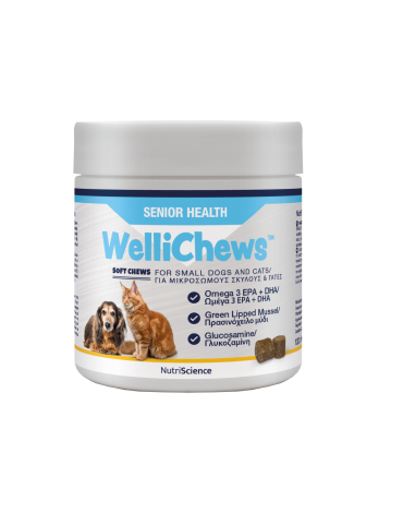 WelliChews™ Senior Soft Chews