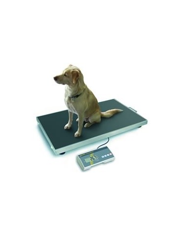 Veterinary Platform Scale EOS