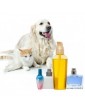 Pet Beauty and Care
